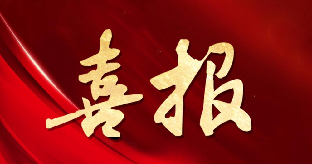 喜报 | 杭州乐竞体育（中国）官方网站获评“2024年度杰出贡献奖”